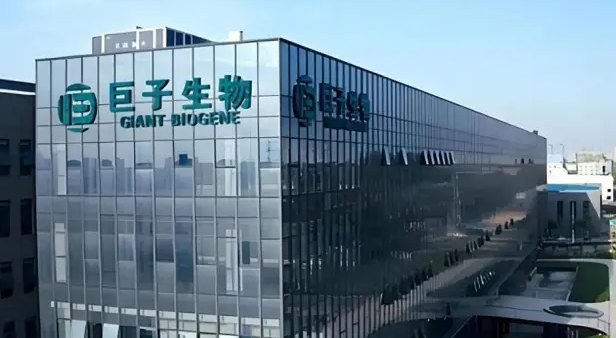 巨子生物的“体面”与“焦虑”：胶原神话的流逝与抗争